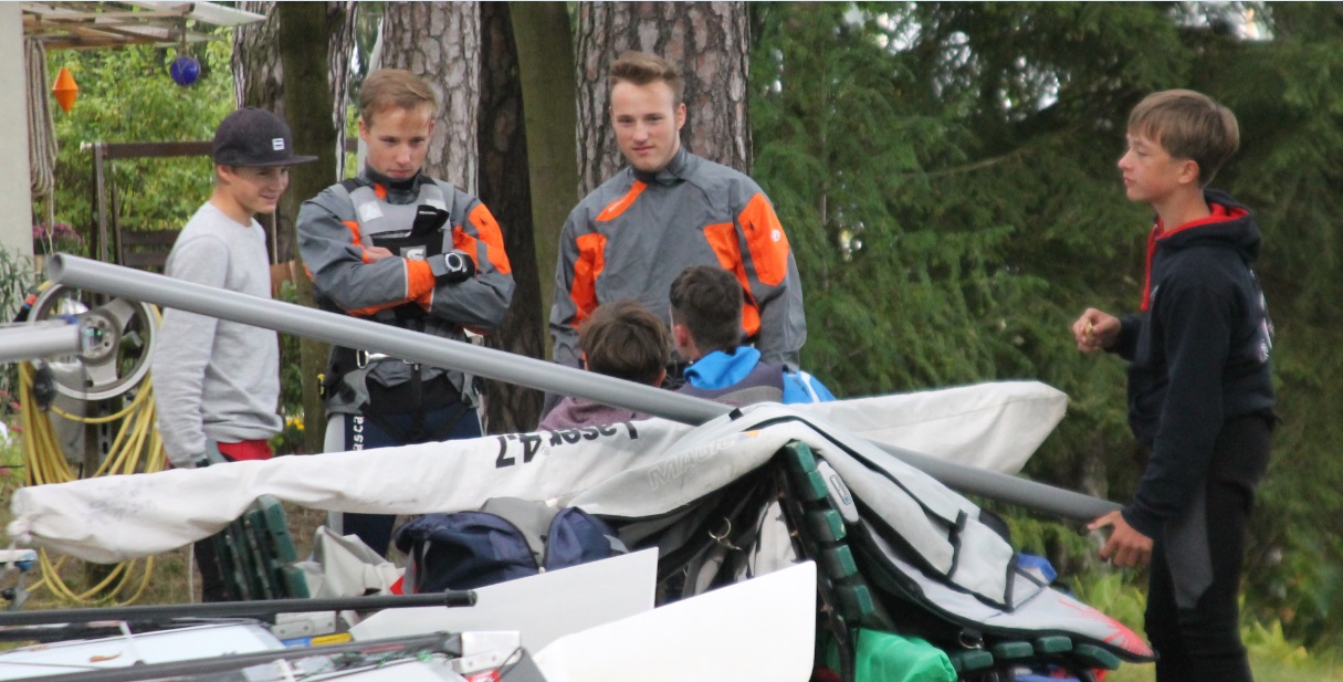 Alte und junge Hasen